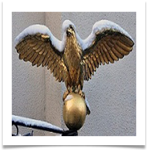 Eagle DSC_0139 improved - Carol Sparkes